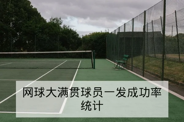 网球大满贯球员一发成功率统计